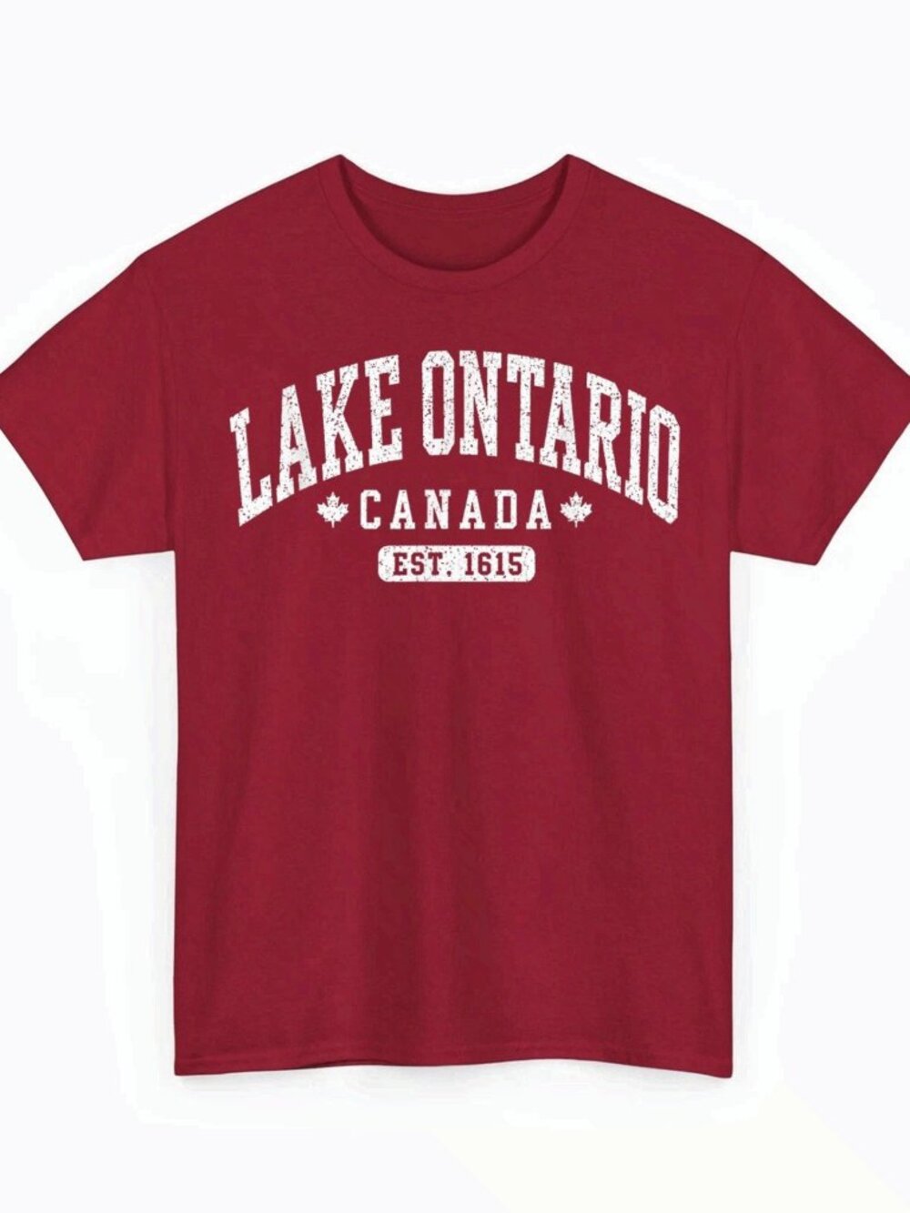 Lake Ontario Canada Est.1615 Vintage Distressed Red Cotton T-Shirt